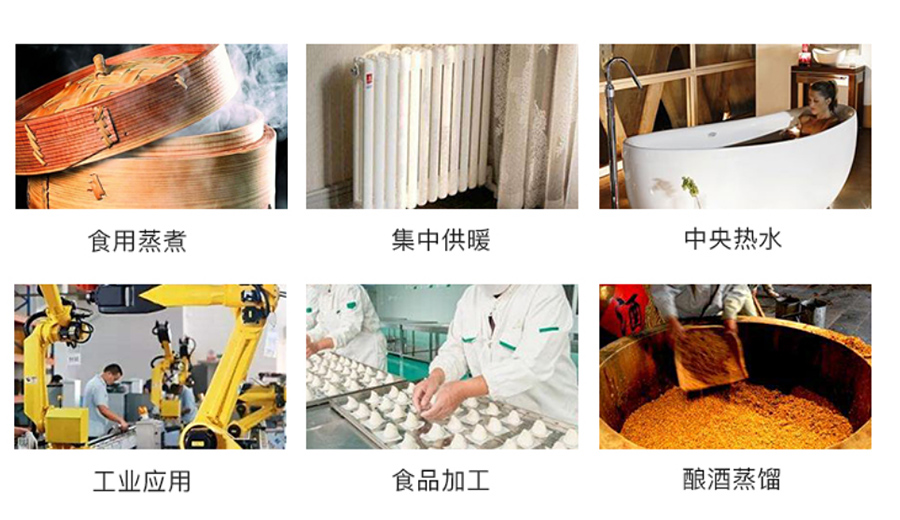 應用領域