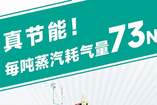蒸汽發生器源頭廠家直銷哪家靠譜？